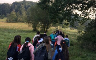 Kasselburg, Munterley und Dietzenley