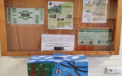 Was haben Handys mit Gorillaschutz zu tun?