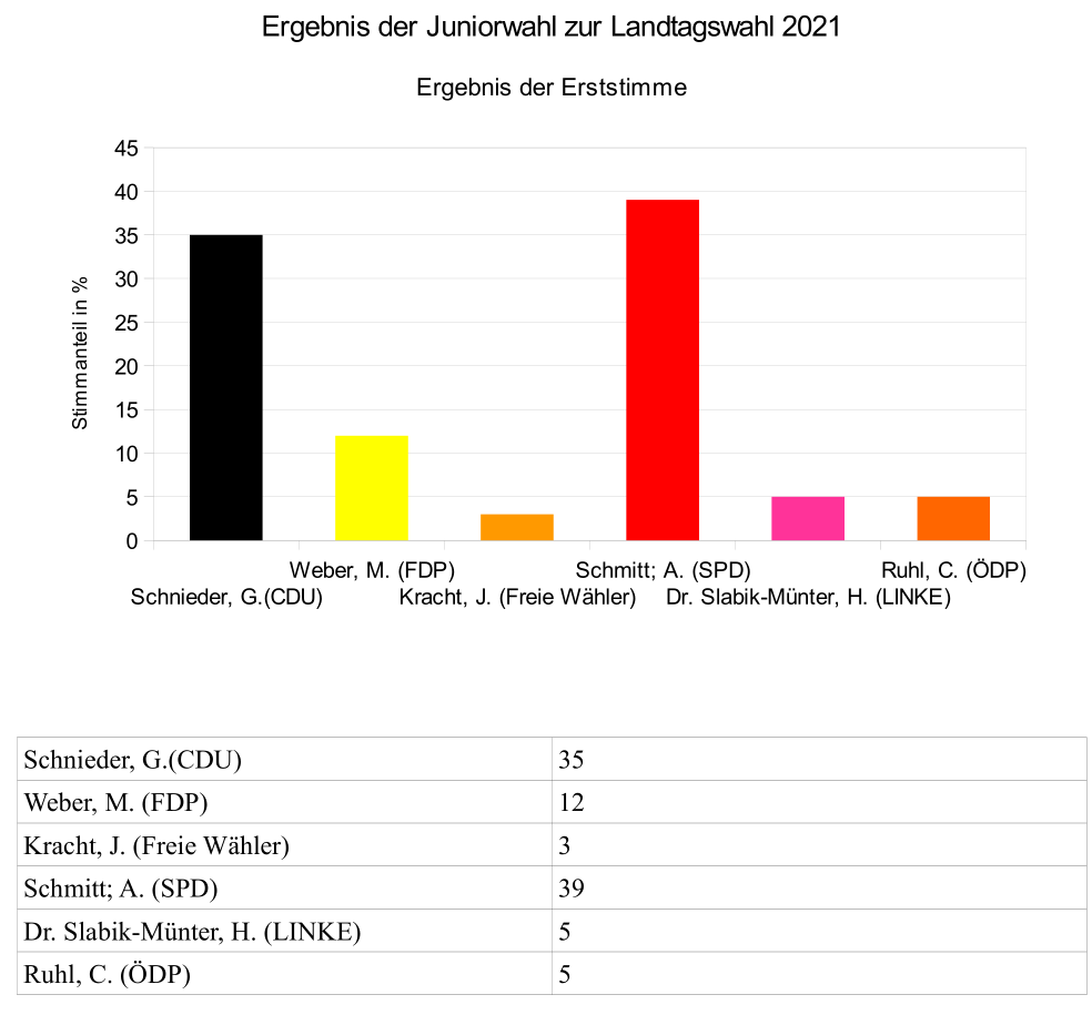 Juniorwahl zur Landtagswahl in Rheinland-Pfalz am SMG