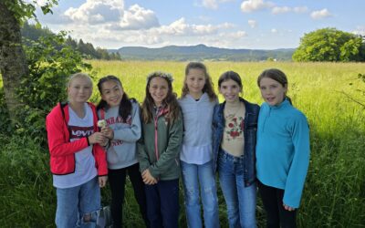 Wiesenuntersuchung im Geopark – Bericht der Klasse 5sp