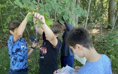 Mit dem Förster im Gerolsteiner Wald – Artenschutzexkursion der 6. Klassen