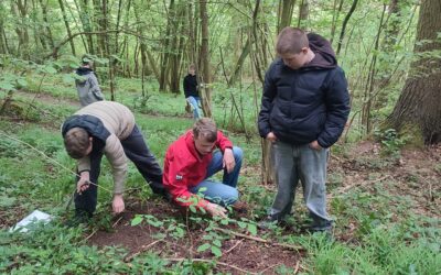 Waldtag der Klasse 8m – Erforschung heimischer Waldgebiete mit dem Förster for Future